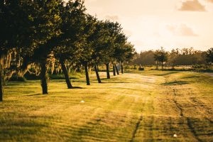 Hampton Lakes HOA - Oaks 1