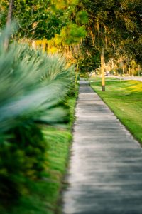 Hampton Lakes HOA - Path 2